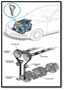 Timing Belt